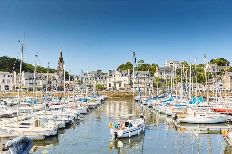 Le Nid Briochin Studio Au Coeur De Saint-Brieuc Bagian luar foto